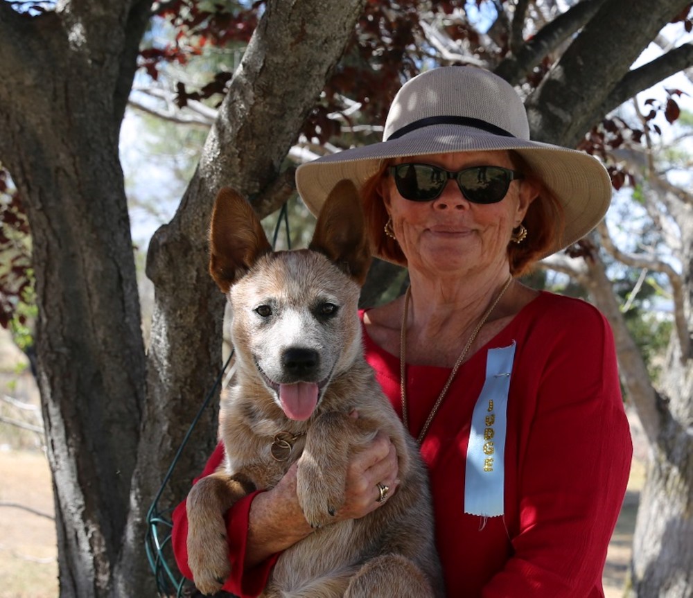 Heelersridge Gympie Stinger (Nettle)